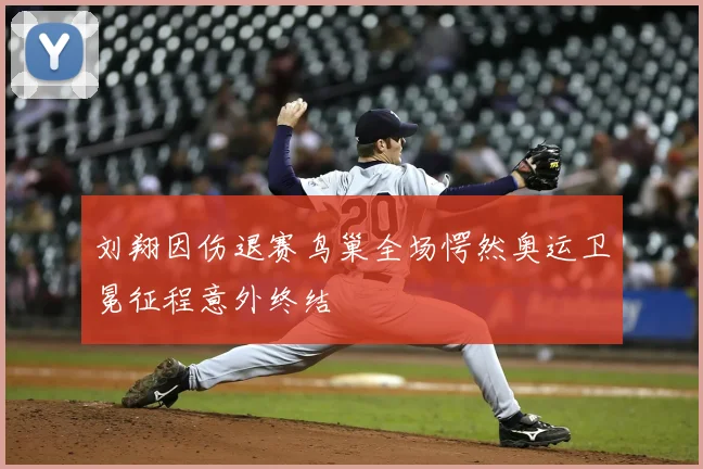 刘翔因伤退赛鸟巢全场愕然奥运卫冕征程意外终结