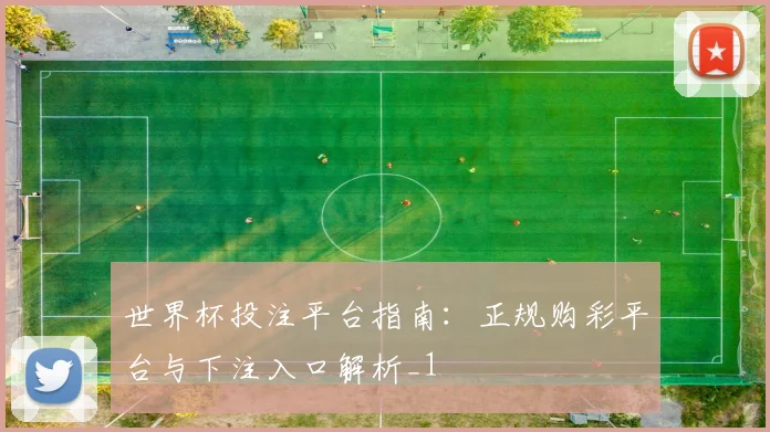 世界杯投注平台指南:正规购彩平台与下注入口解析_1