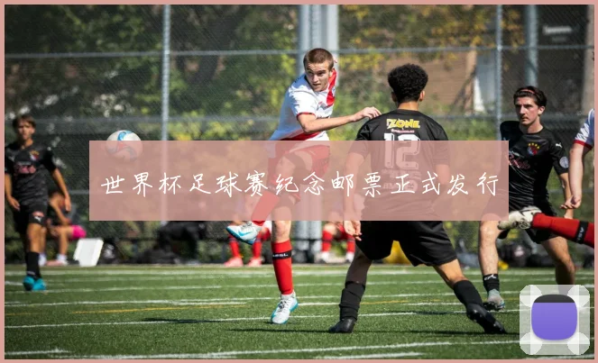 世界杯足球赛纪念邮票正式发行