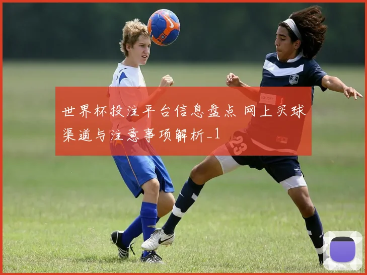 世界杯投注平台信息盘点 网上买球渠道与注意事项解析_1