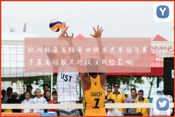 欧洲杯最高赔率回顾历史单场与赛季最高倍数及对投注风险影响