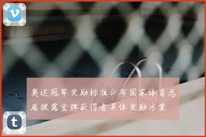 奥运冠军奖励标准公布国家体育总局披露金牌获得者具体奖励方案
