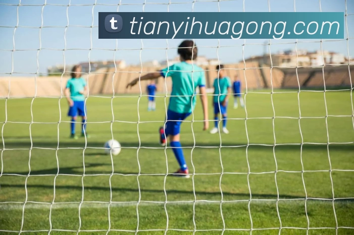 App Interface Preview